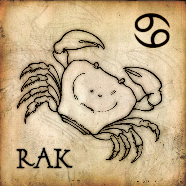 rak%20kopie[1].jpg